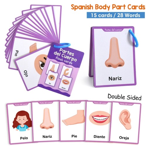 Rings bound spanish vocabulary - spanish,